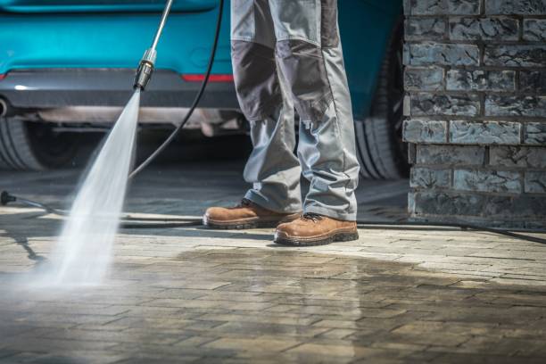 Best Factory Floor Cleaning  in Citrus Springs, FL